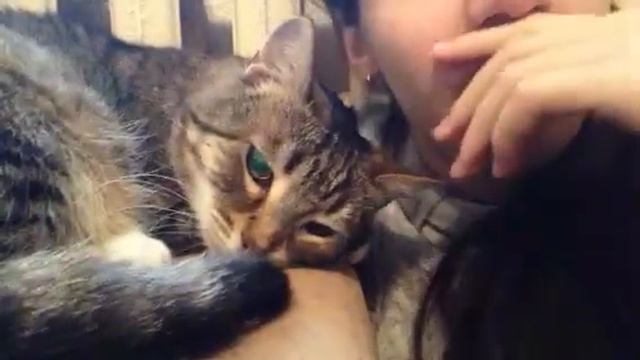 2 часть (щекотка) смотреть онлайн