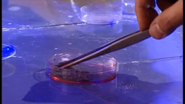 Галилео. Эксперимент. Алюминий с йодом смотреть онлайн