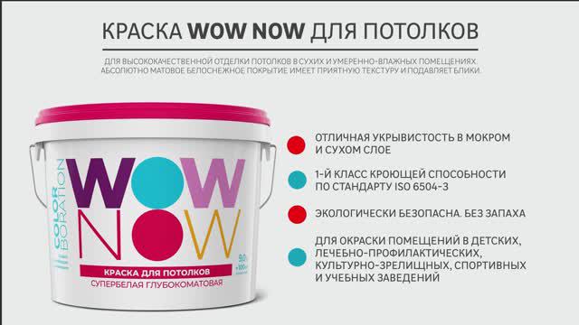 Дизайнерская краска WOW NOW для потолков