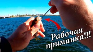 РАБОЧАЯ ПРИМАНКА ДЛЯ ЛОВЛИ ОКУНЯ! Цвет имеет значение 👍