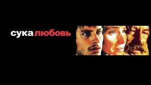 Сука-любовь | Amores perros (2000)