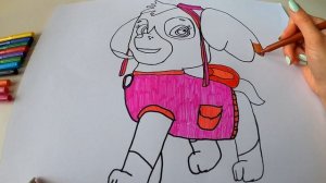 Paw patrol/ Щенячий патруль/Coloring/Раскраски