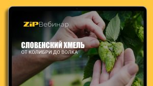 СЛОВЕНСКИЙ ХМЕЛЬ от Колибри до Волка. Вебинар