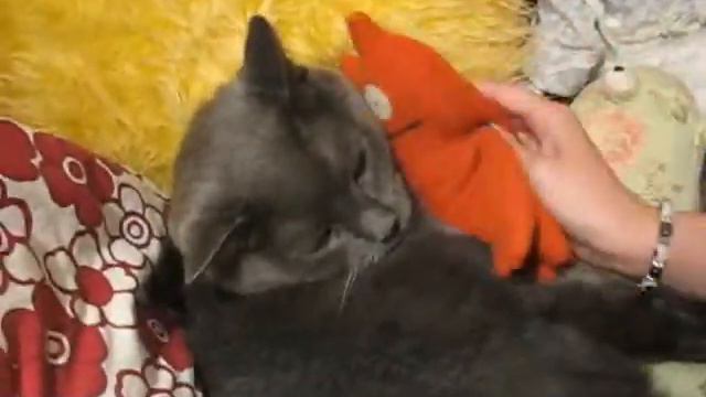 Uglydoll (Abima!) Purr смотреть онлайн