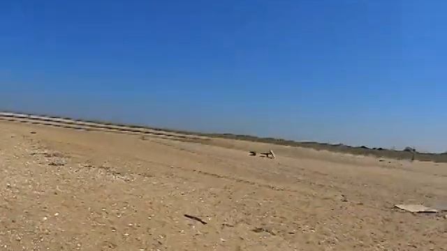 Sandy Hook, NJ USA, 4 Sept. 2014/ Сенди Хук, Нью Джерси США, 4 Сентября 2014. смотреть онлайн