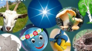 Обучение грамоте. "Звуки З и Зь. Буква З". Кумакова А.А.