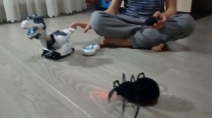 #ОбзорИгрушек#Динозавр#Паук             ИГРУШКИ