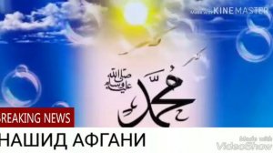 Зеботарин🌹 Мавлуд 🌹Афгани .(НАШИД АФГАН)