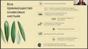 Олайф - экстакт оливкового листа. Источник здоровья и молодости! Olife Презентация