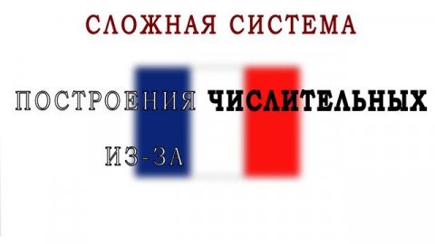 5 ФАКТОВ О ФРАНЦУЗСКОМ ЯЗЫКЕ #Франция#факты#язык#французскийязык#лингвистика#обучение#ВКЛ