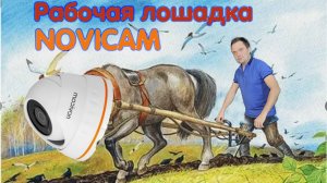 Обзор камер basic 32 basic 33 от компании Novicam