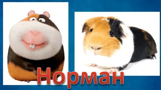 Мультики для детей