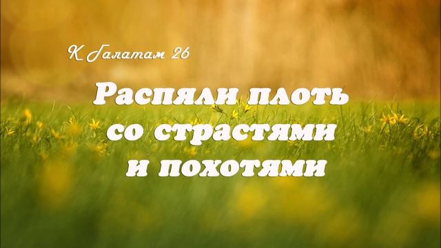 26. РАСПЯЛИ ПЛОТЬ СО СТРАСТЯМИ И ПОХОТЯМИ_к Галатам, пастор Ли Ги Тэк_ Миссионерский центр "Сонрак"