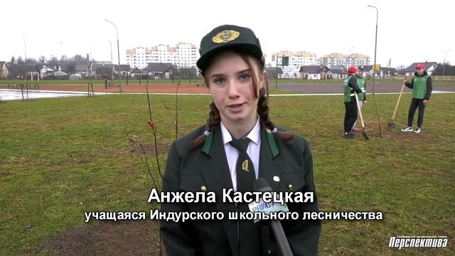 В Скиделе школьники заложили "Сад надежды" смотреть онлайн