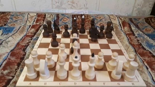 Шахматы.Северный гамбит.