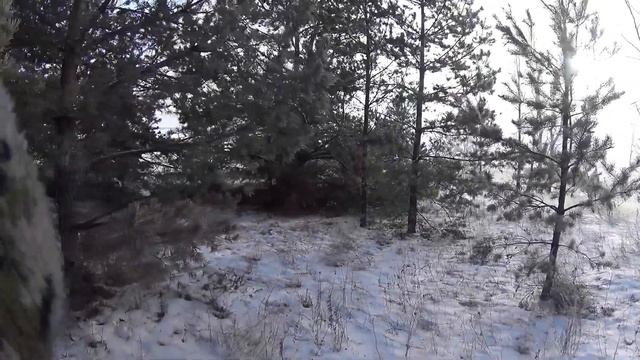 Охота на зайца 1.12.2020 смотреть онлайн