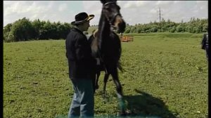 Галилео. Вестерн фестиваль Western Festival