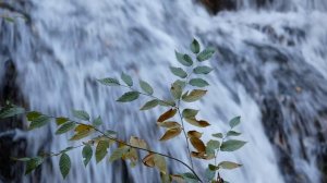 красивый водопад