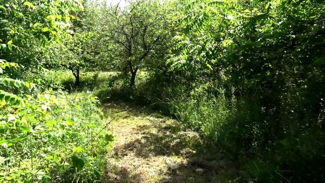 деревенские будни (ч2) смотреть онлайн