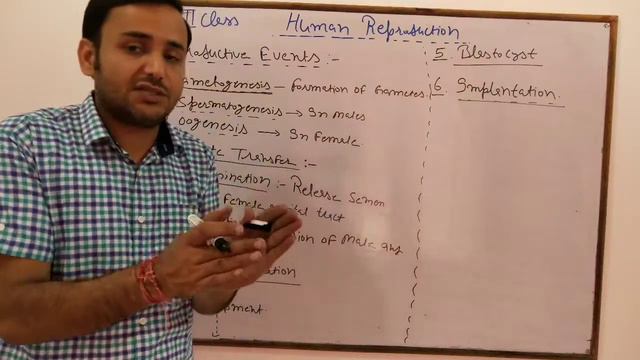 HUMAN REPRODUCTION #INTRODUCTION #12TH #BIOLOGY......