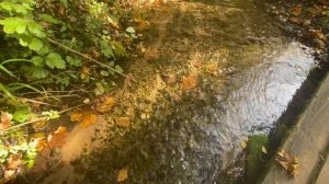 30-09-2024 Музей Валентина Александровича Серова "Усадьба Домотканово"🗺️