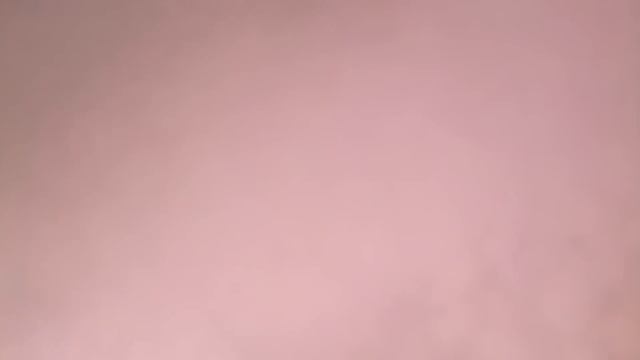 Галилео  Как появился картофель фри?