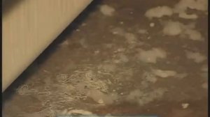 Галилео. Окрашивание ткани