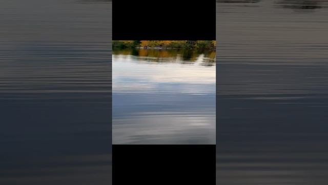 IMG_3704