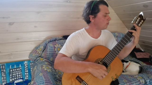 Колыбельная для кота. A.C.Jobim "Solidao" смотреть онлайн