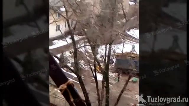 В Новочеркасске в детском саду №17 спилили все деревья смотреть онлайн