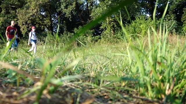 Куда мы уехали и что произошло? смотреть онлайн