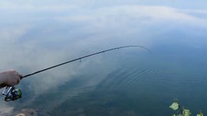 Отзыв о спиннинге Apia Grandage LITE 74. Лучший в своём классе?