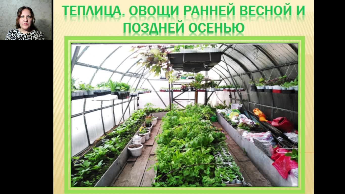 Теплица 9 месяцев 2025. Вводное занятие