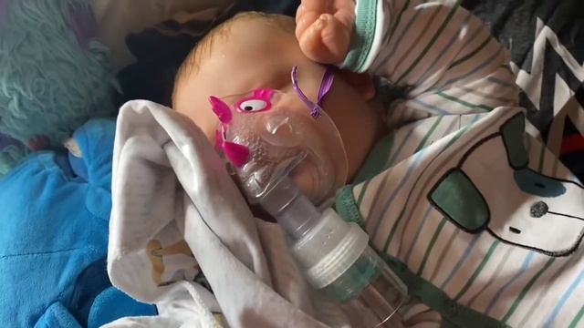 reborn doll roleplay video adult collectors joseph reborn doll reborndoll