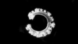 Banco De Gaia - 887 (Structures)