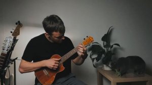 Hafanana ukulele cover