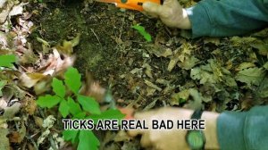 Over 100 year old trash dump found  metal detecting the Frontier road in the old Tennessee woods