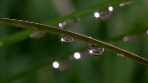 Pat Metheny - Last train home HD video