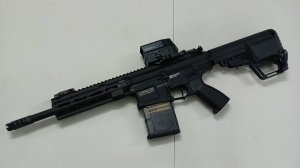 G&G TR16 SBR 308