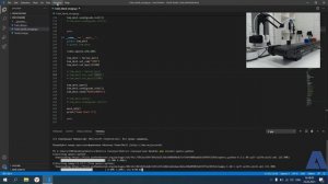 Первый запуск демо программы для Rotrics на Python