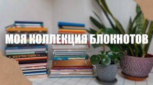 МОЯ КОЛЛЕКЦИЯ БЛОКНОТОВ 📔📒 ЕЖЕДНЕВНИКОВ И ТЕТРАДЕЙ / Для чего я их использую? Зачем так много?