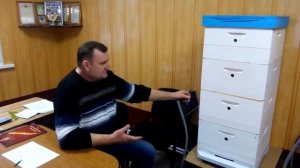 Пчеловодство с одним гнездовым корпусом Видео Виктора Украинского