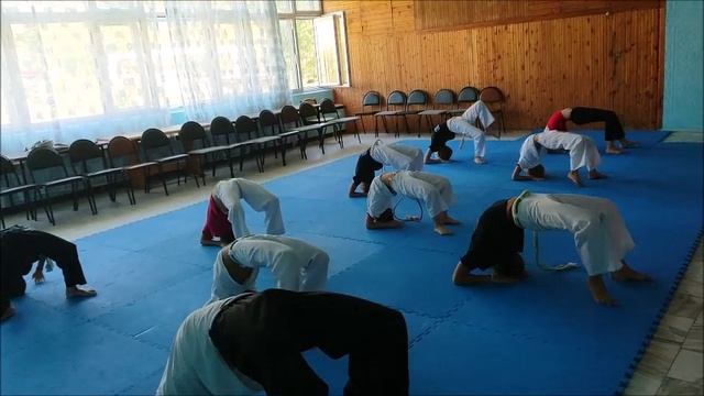 Огонек- спортотряд 2018   капоэйра