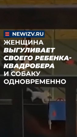 Женщина выгуливает своего ребенка-квадробера и собаку одновременно