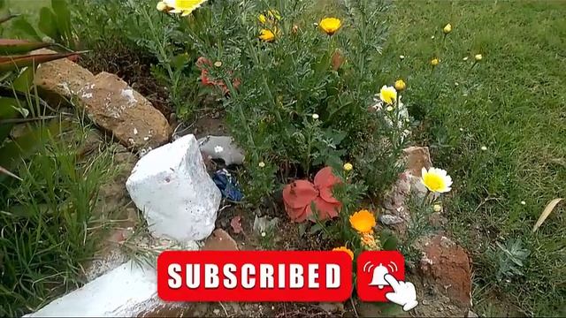 Meetup Between Mufti Zarwali Khan and Maulana Hasan Jan || Conference Call to Students смотреть онлайн