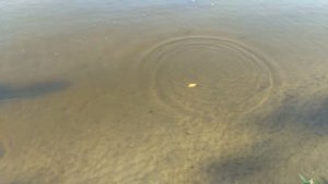 китайские слайдеры игра