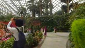 FLOWER DOME'S CHRISTMAS DECORATIONS 2023 | GARDEN BY THE BAY