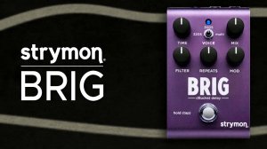 Strymon Brig dBucket Delay with Roland S-1 and Mega FM (No Talking)