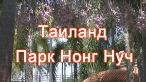 Нонг Нуч