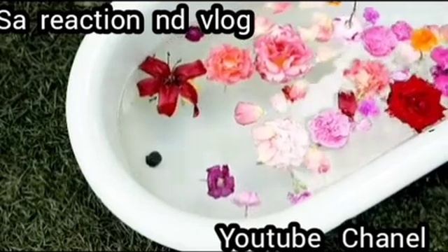 @sitarayaseensana ke liye ki gayi planning ki story|last reaction|@Zaherkhanvlogs1control